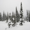Ski Trip to Whitefish Mountain Resort