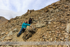 Parker Ridge Hike