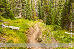 Nigel Pass Hike