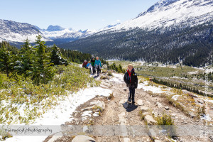 Wilcox Pass Hike