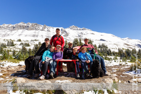 Wilcox Pass Hike
