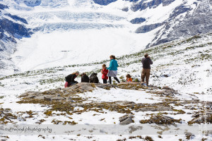 Wilcox Pass Hike