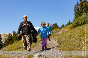 Wilcox Pass Hike