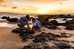 Maui 2015