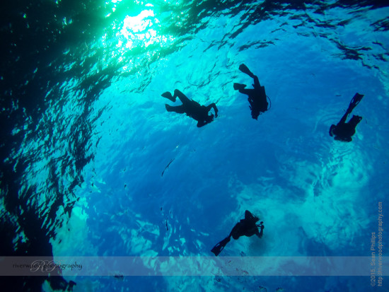 Scuba Diving on Molokini with Scuba Shack