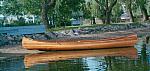 thumb-Cedar_Swan_side_view_Kal_lake.jpg 4.4K