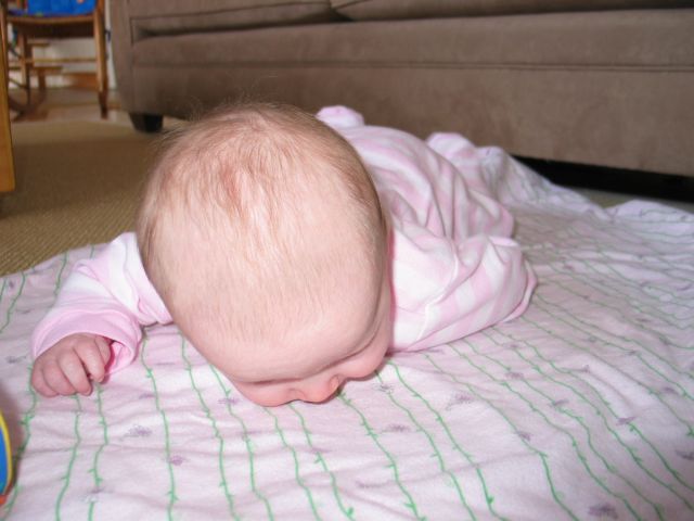 This image has been resized