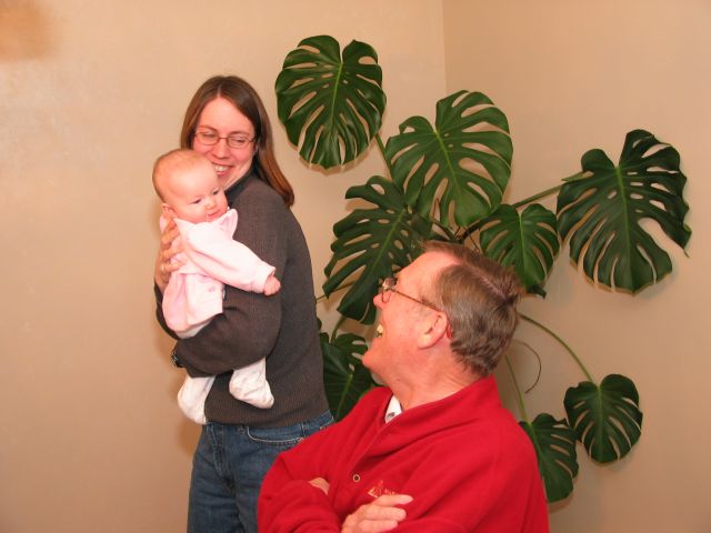 This image has been resized