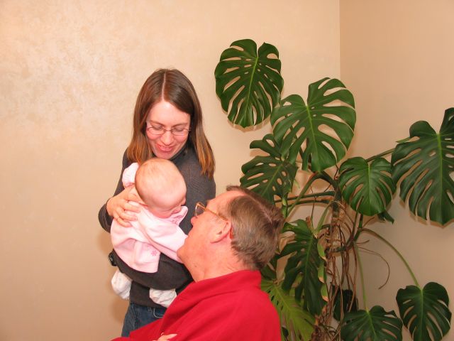 This image has been resized