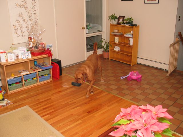 This image has been resized