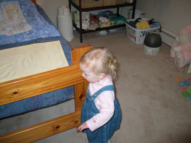 This image has been resized