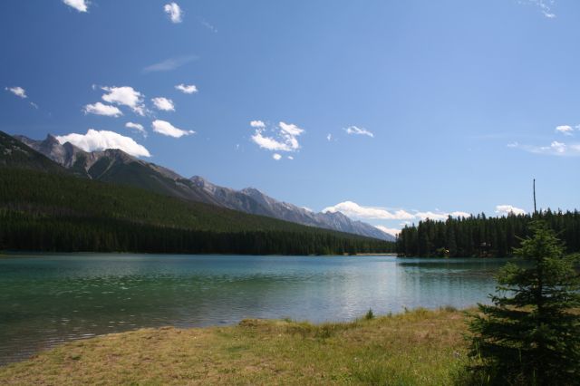 This image has been resized