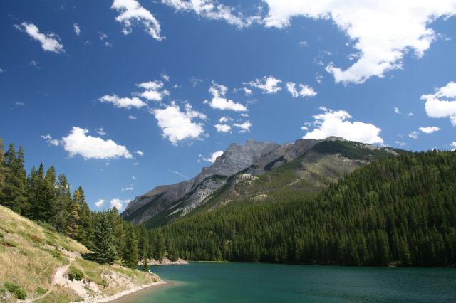 This image has been resized