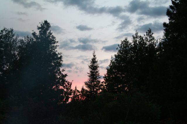 This image has been resized