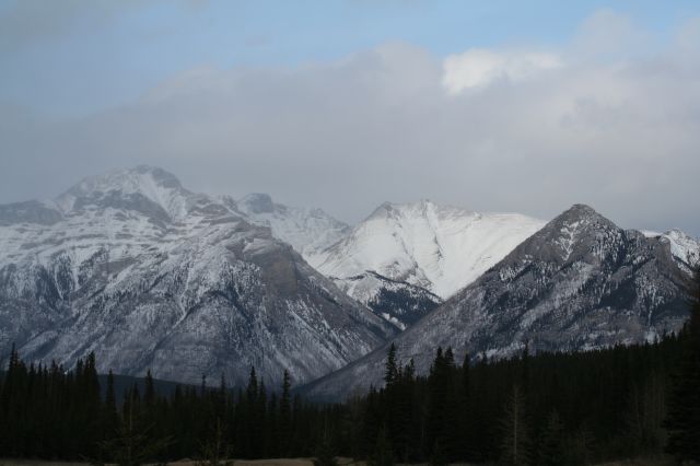 This image has been resized