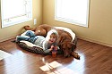 Melanie and Fergus Hanging Out