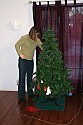 Decorating the Christmas Tree