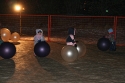 Playing with Balls\n(Zoolites at the Calgary Zoo)