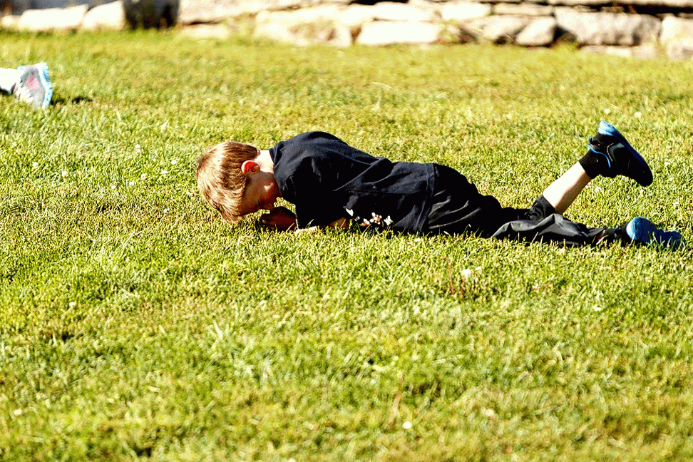 RP-1DIV_158492--Andrew-Rolling-Arboretum-MOTION