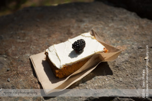 Cheesecake at Le Relais at Lake O'Hara