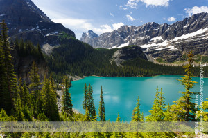 Hiking to Lake Oesa near Lake O'Hara