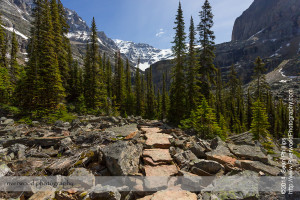 Hiking to Lake Oesa near Lake O'Hara