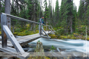 Early Morning at Lake O'Hara in Yoho National Park