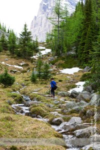 Hiking to Opabin Lake near Lake O'Hara in Yoho National Park