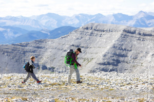 Hiking Moose Mountain in Kananaskis