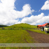 Trail Ride at Anchor D Ranch (3)