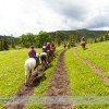 Trail Ride at Anchor D Ranch (24)