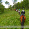 Trail Ride at Anchor D Ranch (22)