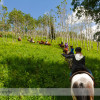 Trail Ride at Anchor D Ranch (20)