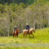 Trail Ride at Anchor D Ranch (19)