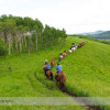 Trail Ride at Anchor D Ranch (15)