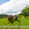 Trail Ride at Anchor D Ranch (12)