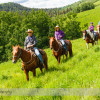 Trail Ride at Anchor D Ranch (9)