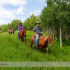 Trail Ride at Anchor D Ranch (7)