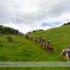 Trail Ride at Anchor D Ranch (6)