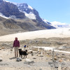 Athabasca Glacier at Columbia Icefields
