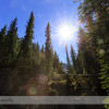 The North Saskatchewan River Canyon at the Big Bend