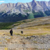 Parker Ridge Hike