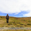 Parker Ridge Hike