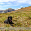 Parker Ridge Hike