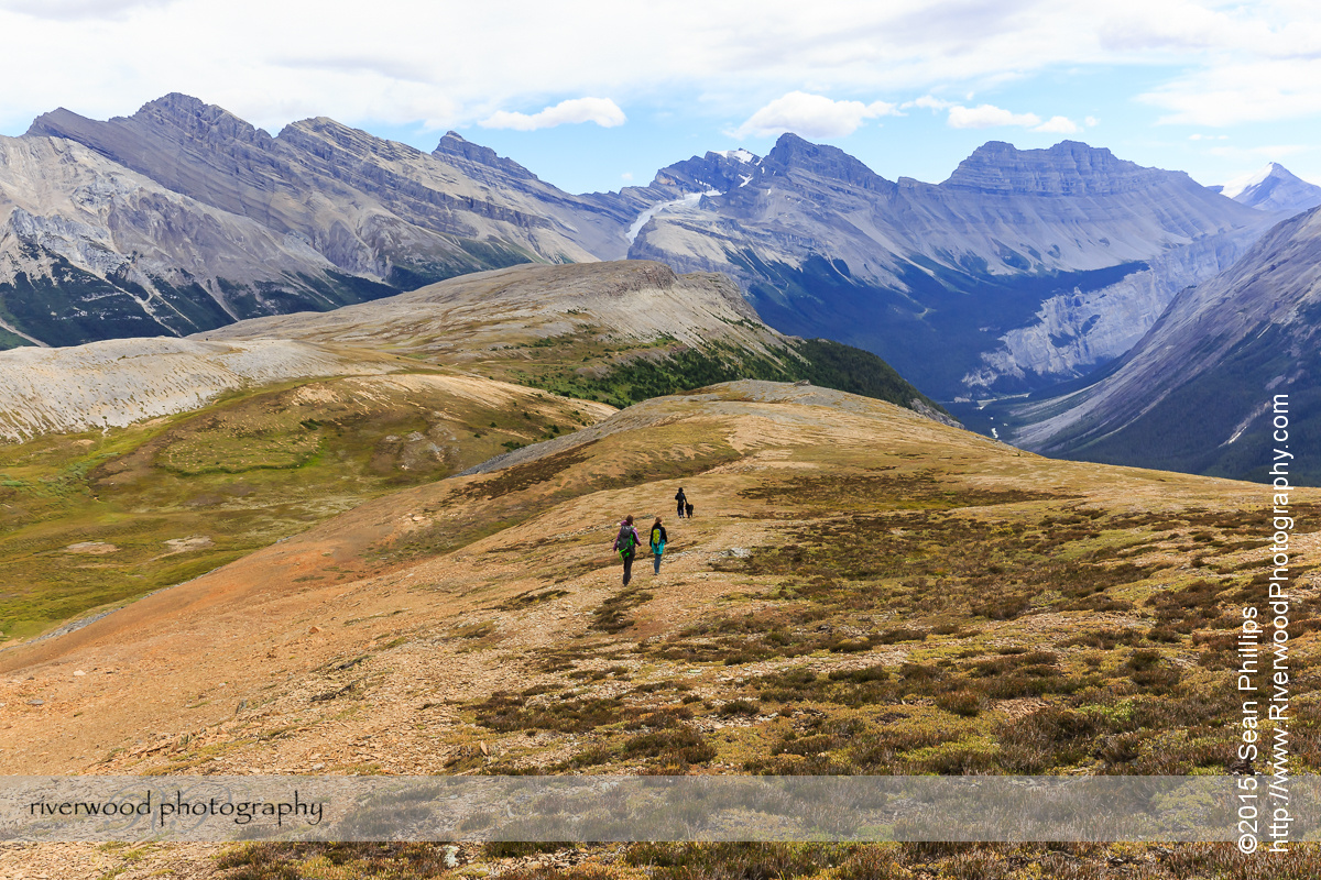 Parker Ridge Hike