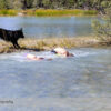 Swimming in the Mistaya River at Waterfowl Lakes Campground