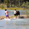 Swimming in the Mistaya River at Waterfowl Lakes Campground