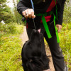 Nigel Pass Hike