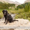 Nigel Pass Hike