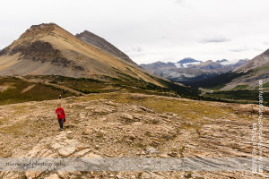 Nigel Pass Hike